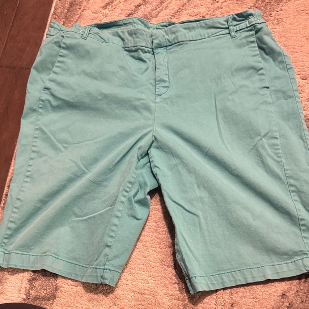 Style & Co. Teal Women's Shorts